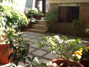 photo (7)